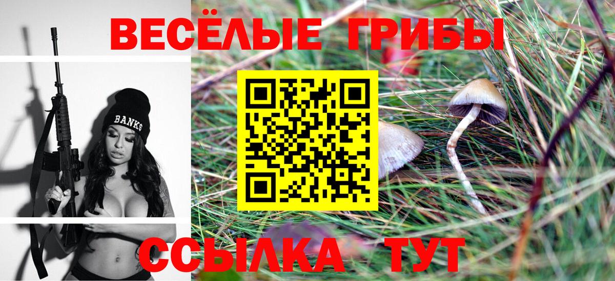 Галлюциногенные грибы прущие грибы Холмск