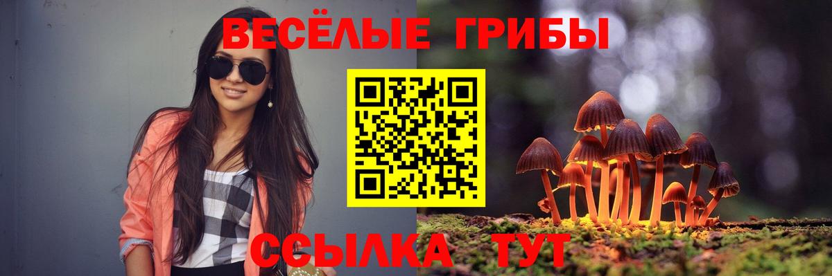 Псилоцибиновые грибы Psilocybine cubensis  продажа наркотиков  Холмск  Псилоцибиновые грибы GOLDEN TEACHER  Вход с VPN 